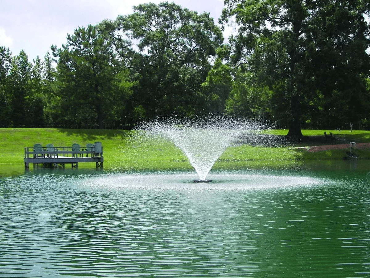 Clean Pond